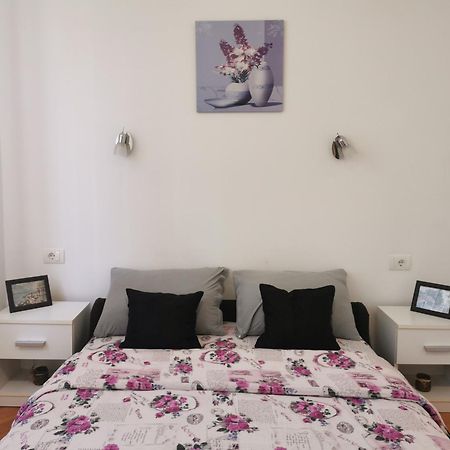 Apartmani La Grande Motte Vrdnik Exterior foto